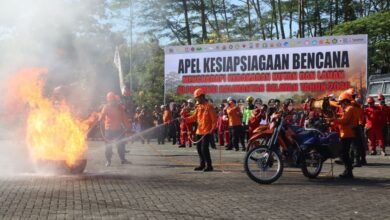 Gubernur Muhidin Ajak Masyarakat Aktif Cegah Karhutla, Segera Laporkan Titik Api
