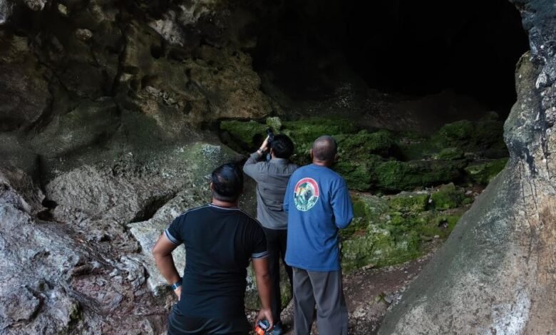 Monitoring Goa Batu Hapu Temukan Tiga Spesies Kelelawar, Geopark Meratus Perkuat Konservasi Berbasis Riset