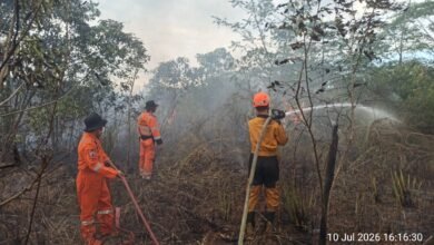 TRC BPBD Kalsel Tangani Tiga Titik Karhutla di Banjarbaru, Seluruh Api Berhasil Dikendalikan