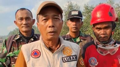 Gerak Cepat Tim Gabungan Padamkan Karhutla, Lurah Landasan Ulin Timur Imbau Warga Tingkatkan Kewaspadaan