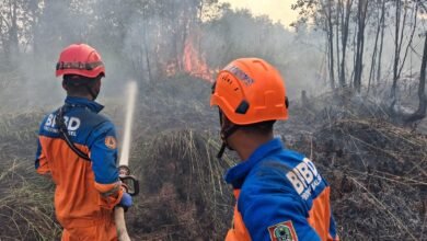 BPBD Kalsel Fokus Lindungi Permukiman Saat Padamkan Karhutla di Landasan Ulin Timur