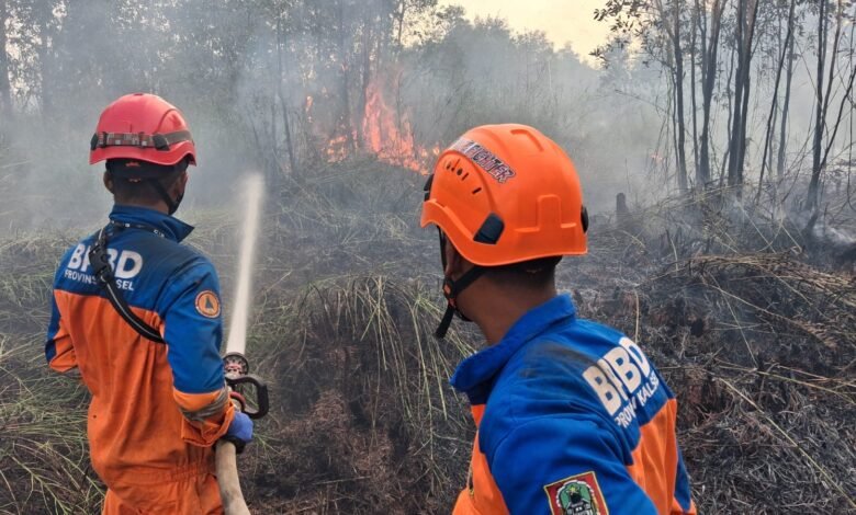 BPBD Kalsel Fokus Lindungi Permukiman Saat Padamkan Karhutla di Landasan Ulin Timur