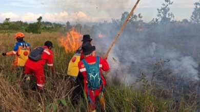 BPBD Kalsel Gerak Cepat Padamkan Karhutla Dekat Perkantoran Gubernur dan Permukiman di Cempaka