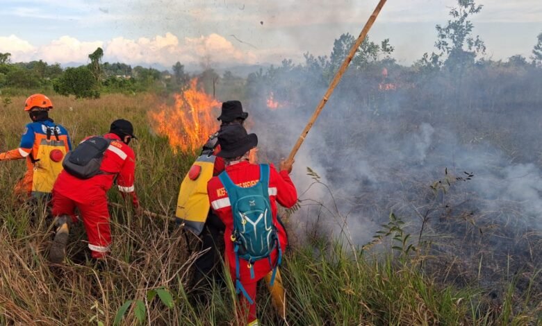 BPBD Kalsel Gerak Cepat Padamkan Karhutla Dekat Perkantoran Gubernur dan Permukiman di Cempaka