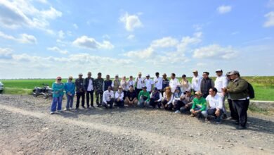 DPKP Kalsel Dampingi Kementan Monitoring LTT di Barito Kuala, Perkuat Upaya Percepatan Swasembada Pangan