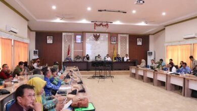 Percepat Luas Tambah Tanam, DPKP Kalsel Perkuat Sinergi Hadapi Kemarau Demi Target Produksi Padi 1,3 Juta Ton