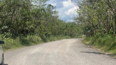 Pemprov Kalsel Matangkan Tahapan Jalan Lintas Tengah, Penlok Ditargetkan Terbit Oktober 2026