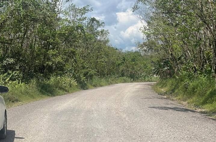 Pemprov Kalsel Matangkan Tahapan Jalan Lintas Tengah, Penlok Ditargetkan Terbit Oktober 2026