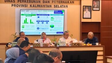 kuatkan Sektor Perkebunan dan Peternakan Daerah, Disbunnak Kalsel Dukung Program KDMP