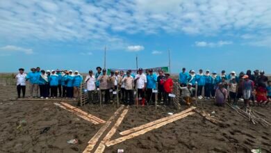 Dislautkan Kalsel Jaga Kelestarian Ekosistem Pasir dengan Rehabilitasi Mangrove di Takisung