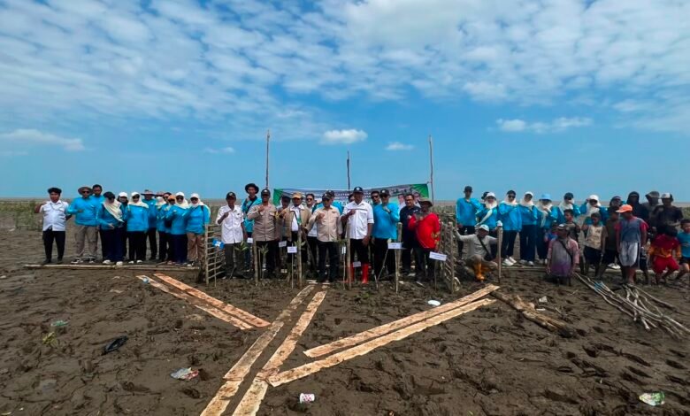 Dislautkan Kalsel Jaga Kelestarian Ekosistem Pasir dengan Rehabilitasi Mangrove di Takisung