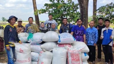 Kekeringan Landa 6.691 Hektare Lahan Pertanian di Kalsel, BPTPH Perkuat Mitigasi