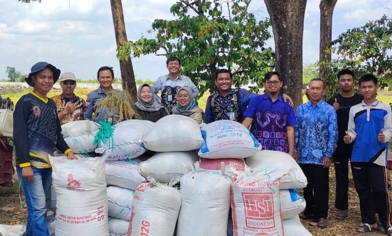 Kekeringan Landa 6.691 Hektare Lahan Pertanian di Kalsel, BPTPH Perkuat Mitigasi
